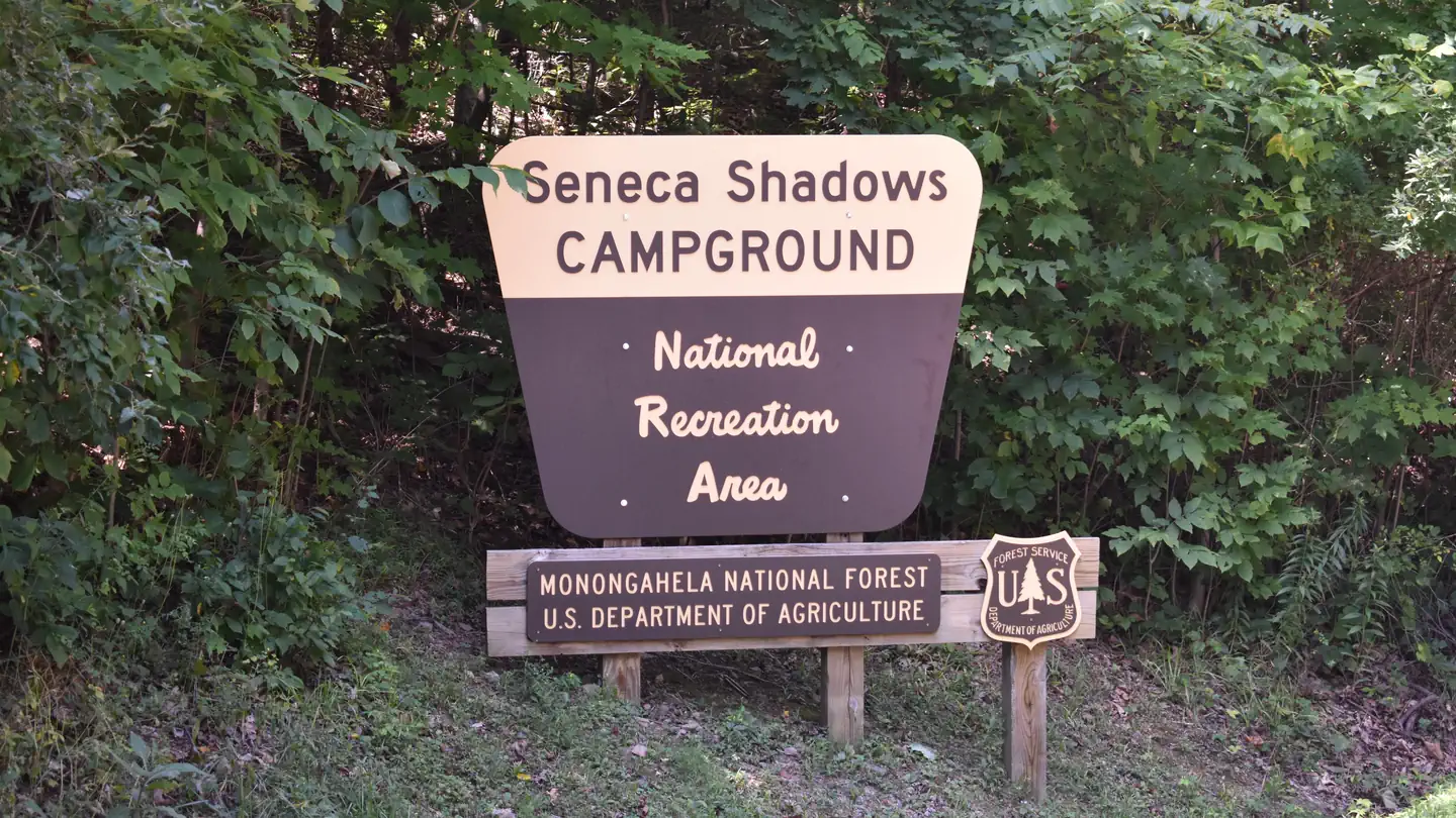 SENECA SHADOWS photo