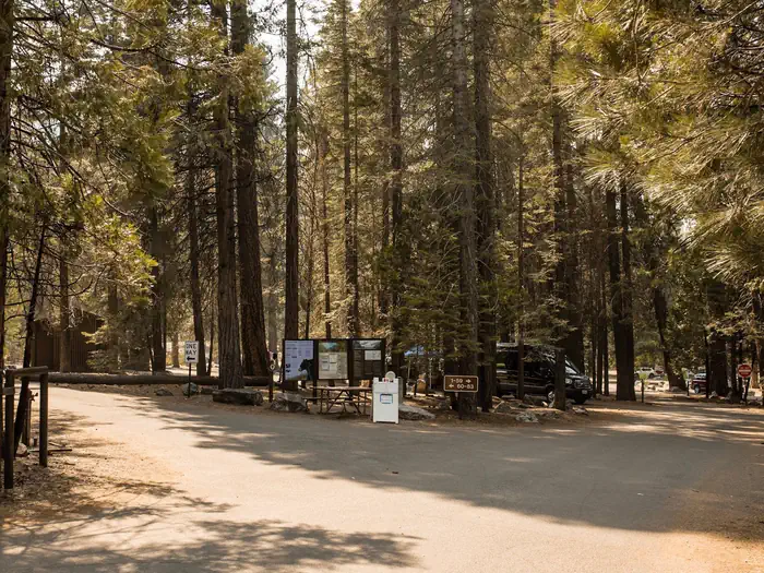 Sentinel Campground photo 2