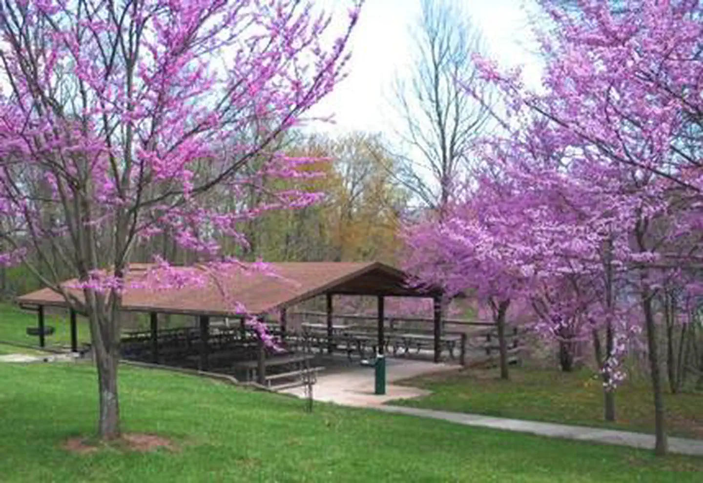 Seven Points Picnic Shelters photo