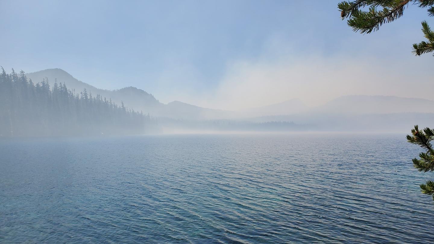 SHADOW BAY photo