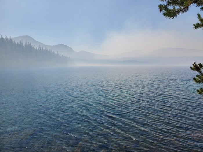 SHADOW BAY photo 2