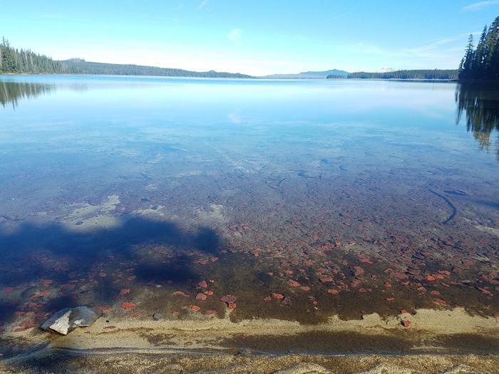 SHADOW BAY photo 4