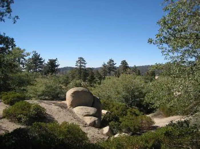 SHADY COVE GROUP CAMPGROUND photo