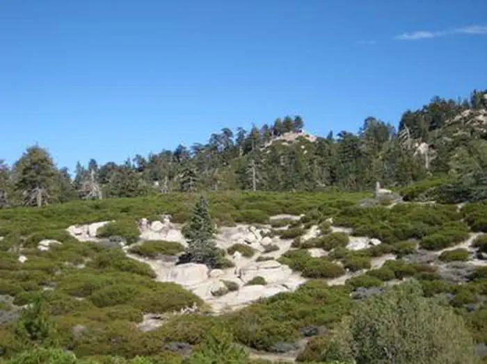 SHADY COVE GROUP CAMPGROUND photo 2