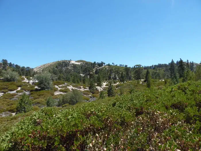 SHADY COVE GROUP CAMPGROUND photo 5