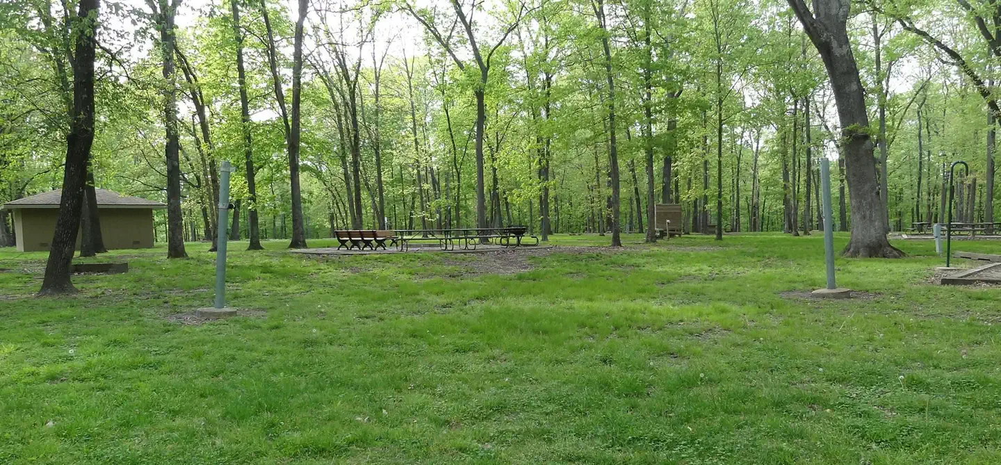 SHAGBARK GROUP AREA photo 2