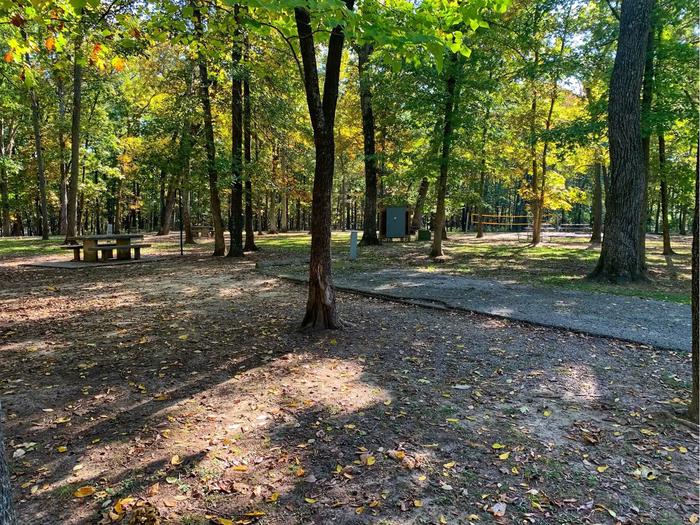 SHAGBARK GROUP AREA photo 4