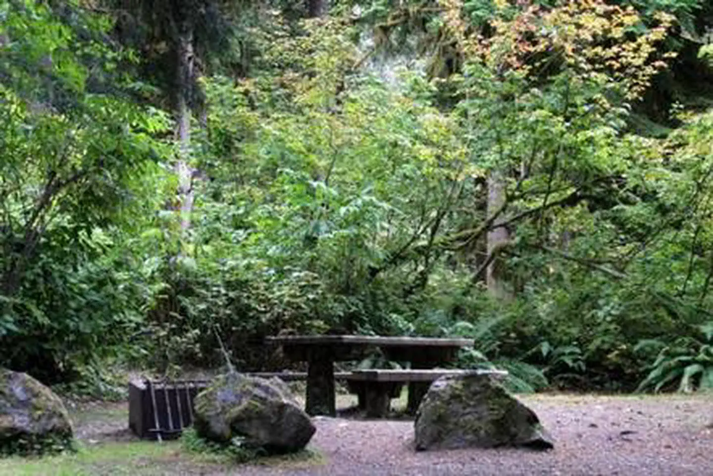 Shannon Creek Campground photo 2
