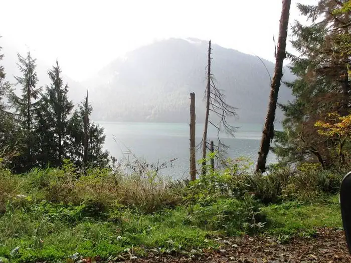 Shannon Creek Campground photo 3