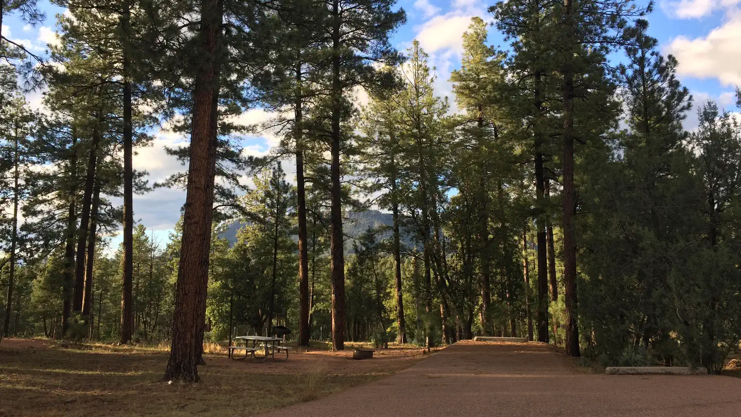 SHARP CREEK photo