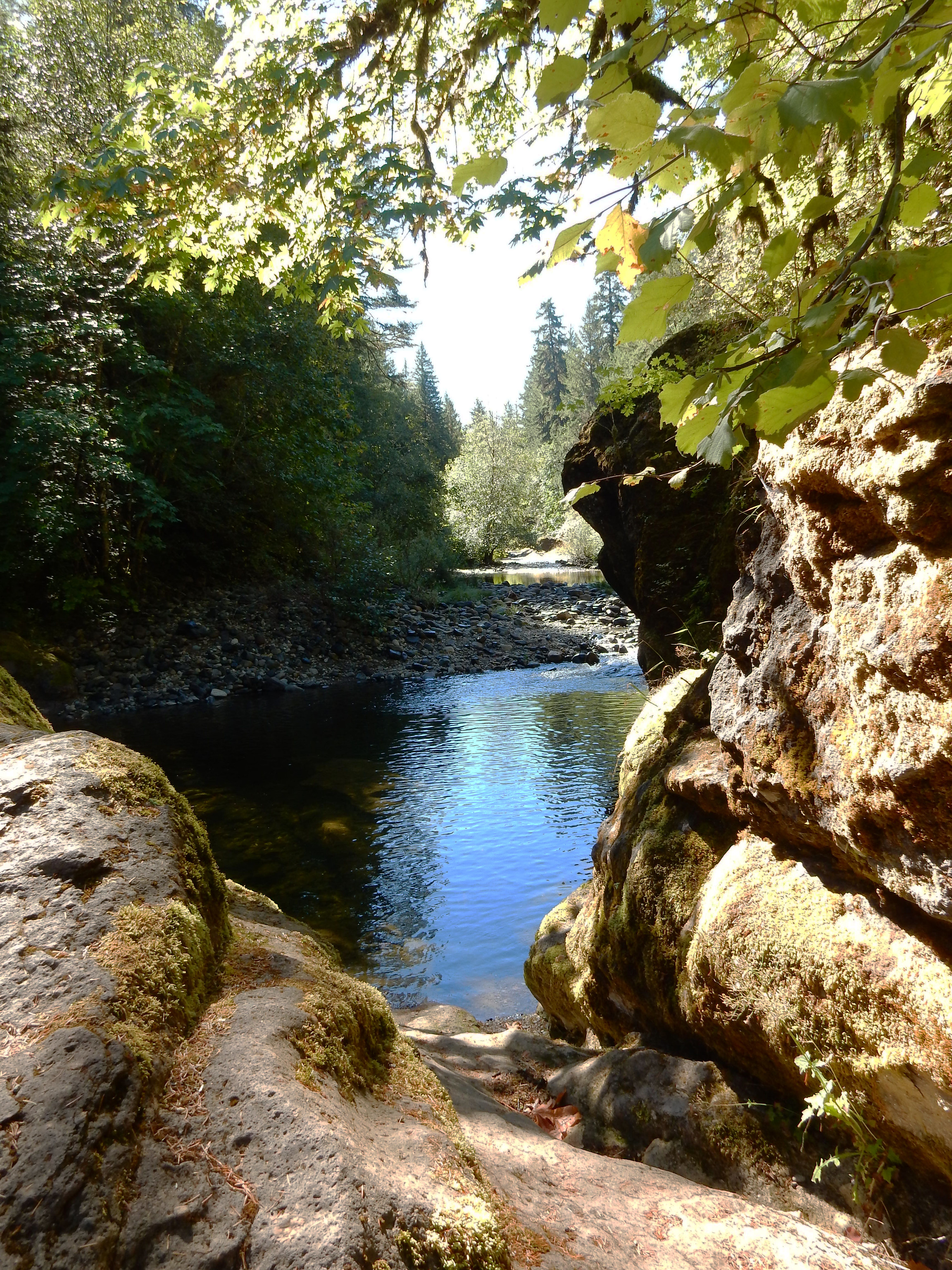 Sharps Creek Recreation Site photo
