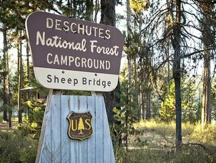 SHEEP BRIDGE photo 3