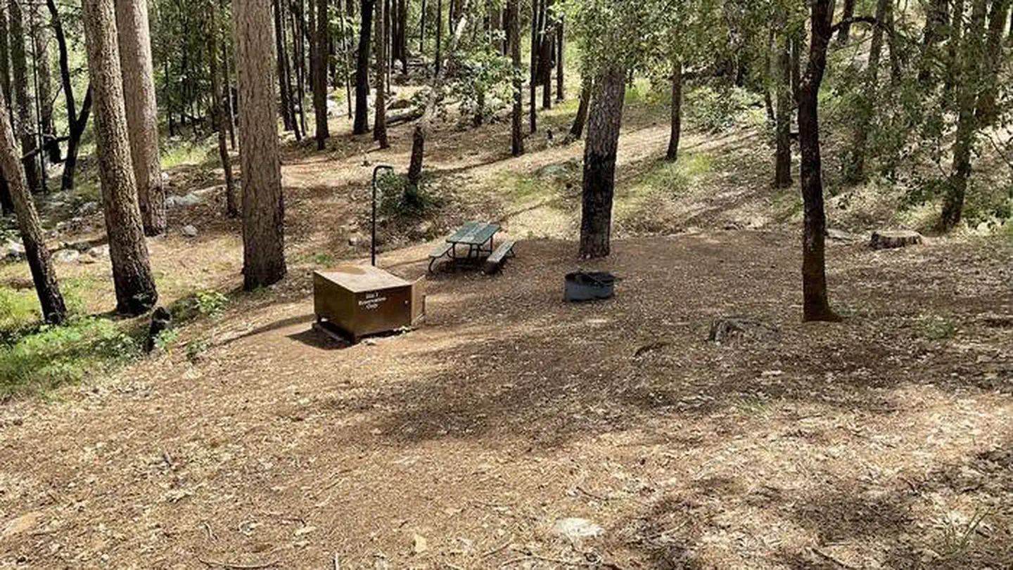 SHEEP CAMP PRIMITIVE CAMPGROUND photo 3
