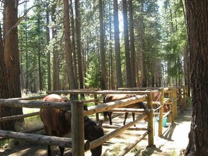 SHEEP SPRINGS HORSE CAMP photo 2