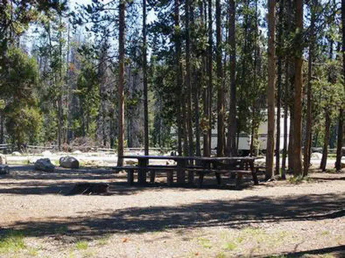 SHEEP TRAIL CAMPGROUND photo 4