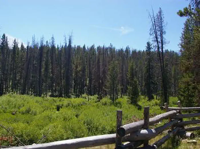 SHEEP TRAIL CAMPGROUND photo 5