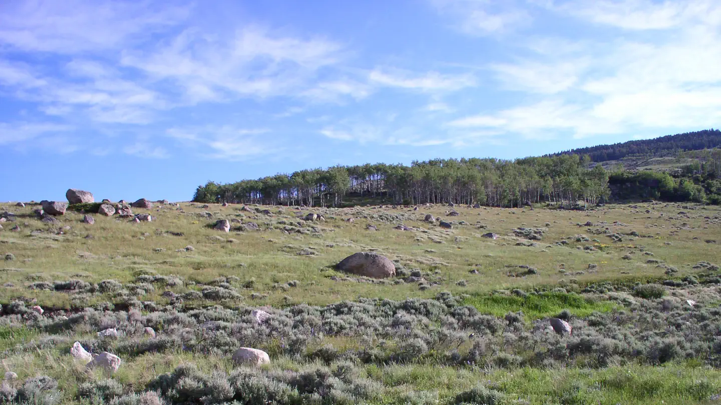 SHELL CREEK photo
