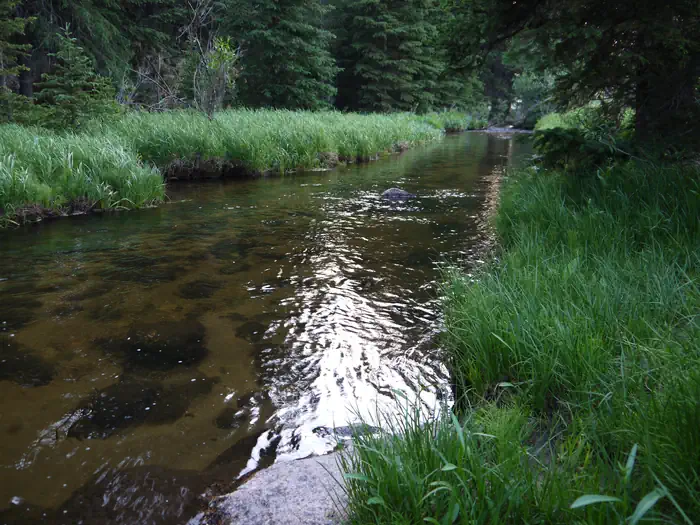 SHELL CREEK photo 4