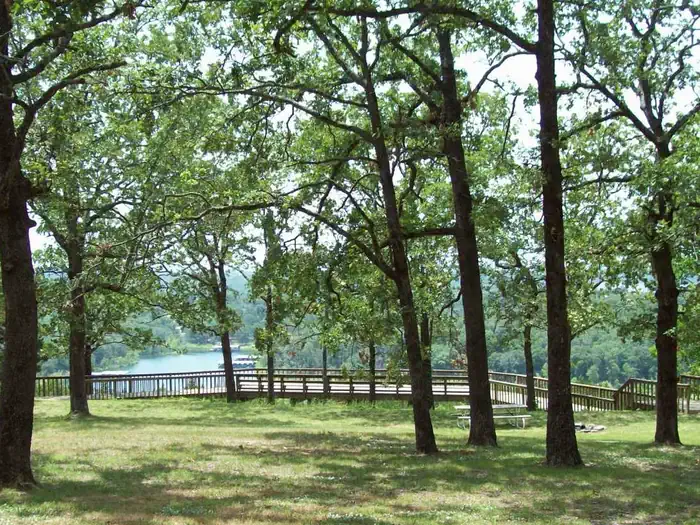 SHELL KNOB REC SITE PAVILION photo 3