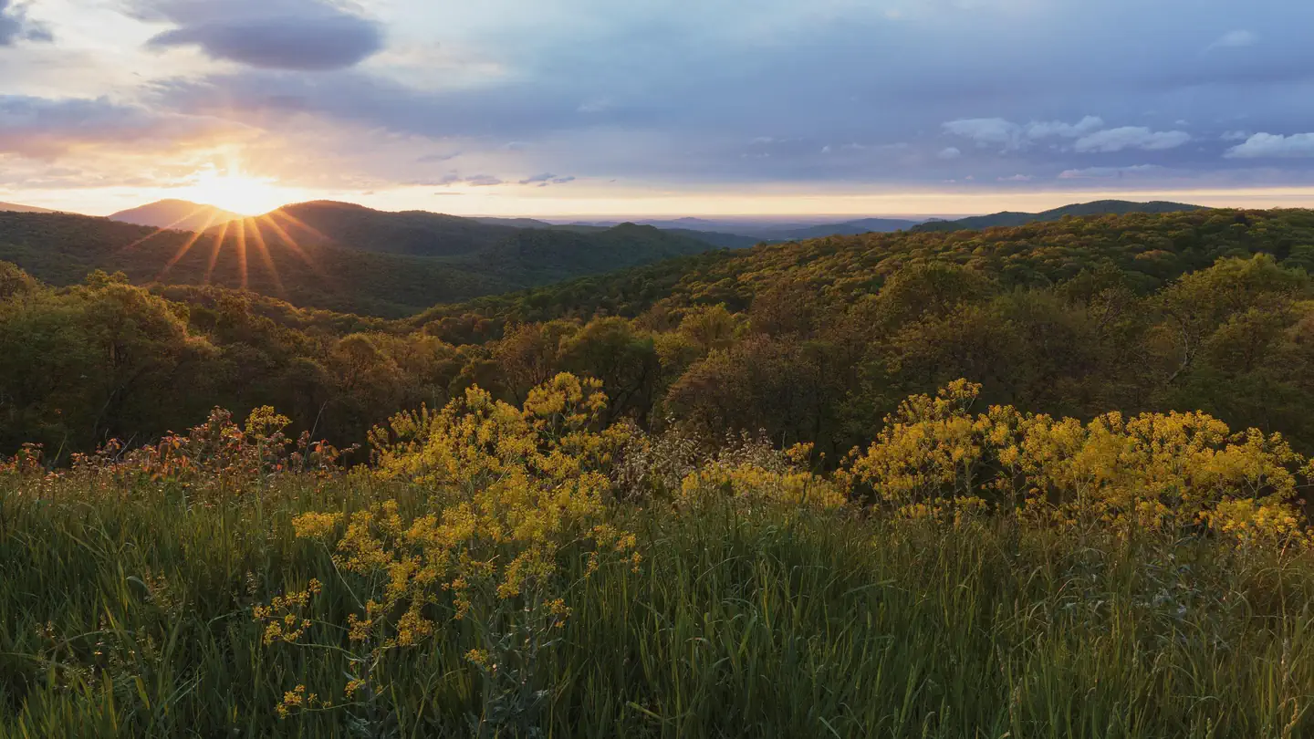 Shenandoah National Park Backcountry Permits photo