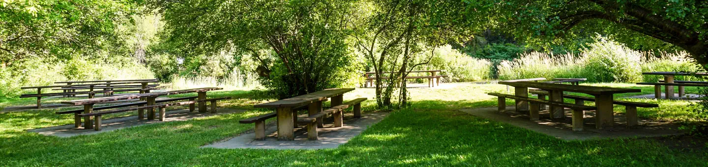 Shenoah Picnic Area photo