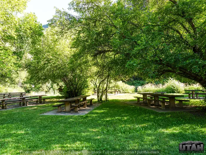 Shenoah Picnic Area photo 3