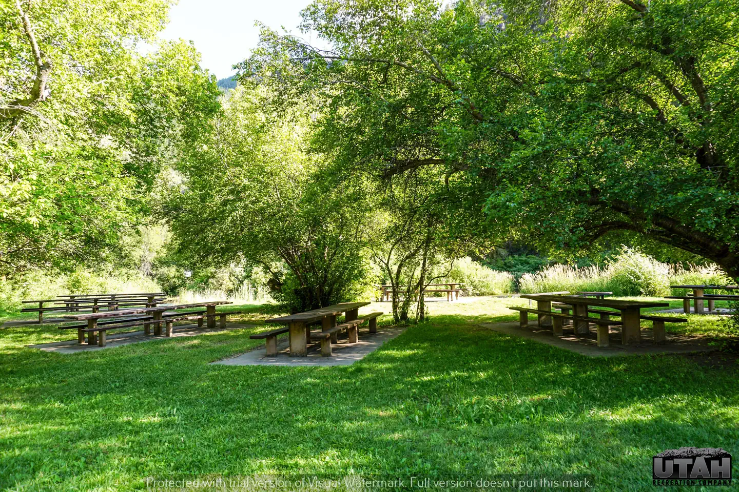Shenoah Picnic Area photo 5