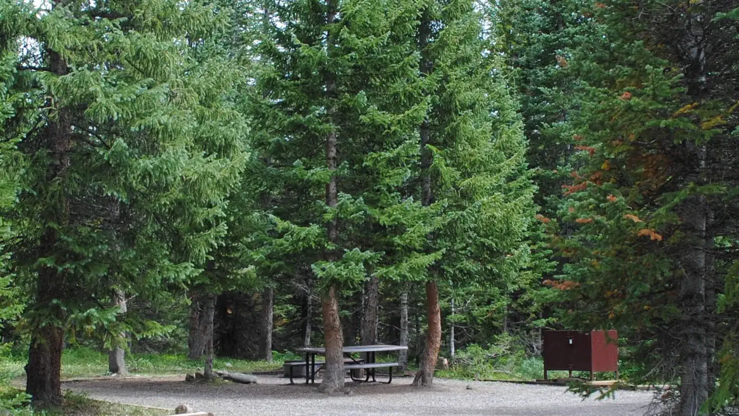 SHEPHERDS RIM CAMPGROUND photo