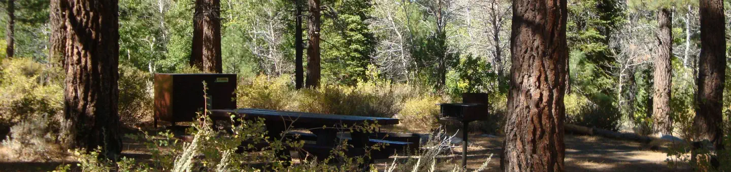 SHERWIN CREEK photo