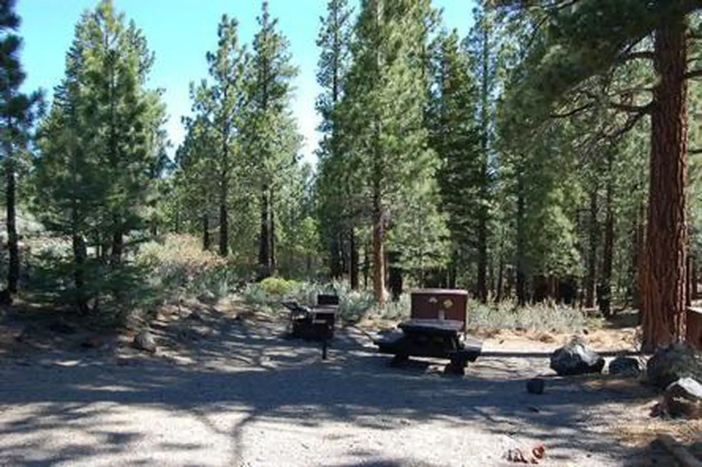 SHERWIN CREEK photo 4