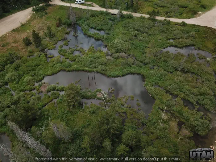 Shingle Creek ATV Campground photo 2