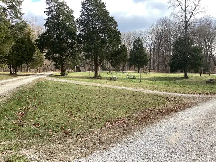 Shirley Creek Campground photo