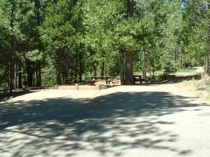 SHIRTTAIL CREEK photo 2