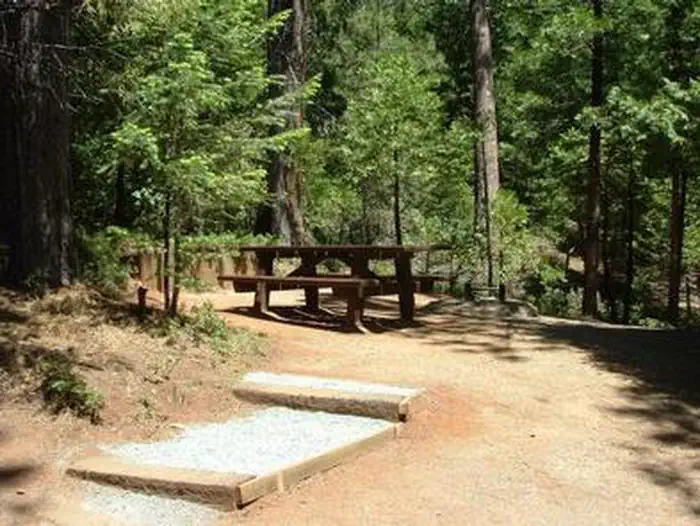SHIRTTAIL CREEK photo 5
