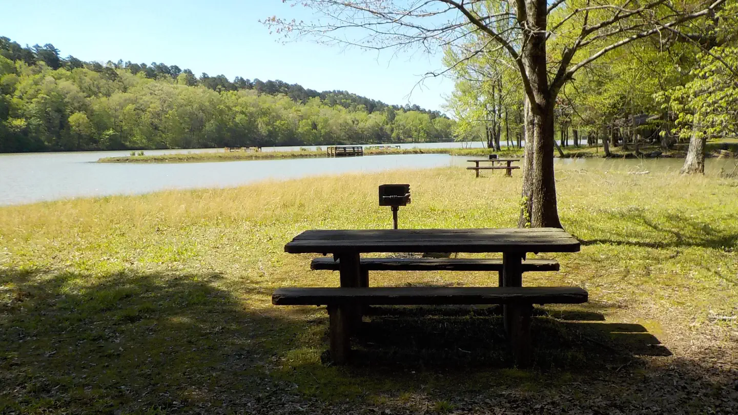 Shores Lake Recreation Area photo