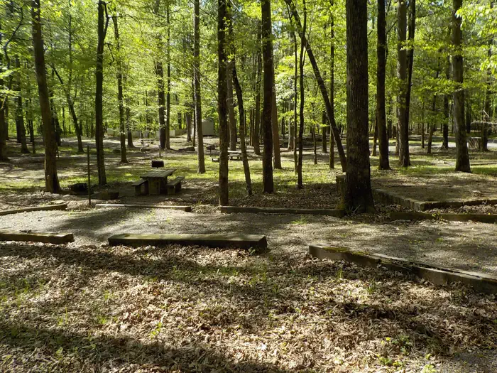 Shores Lake Recreation Area photo 2