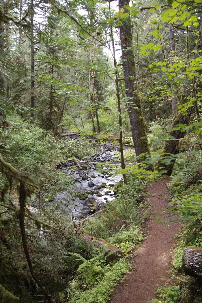 Shotgun Creek Recreation Site photo 2