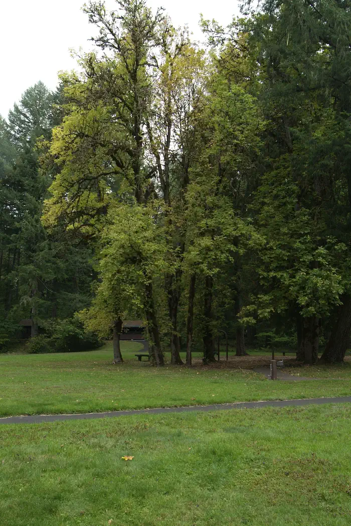 Shotgun Creek Recreation Site photo 5