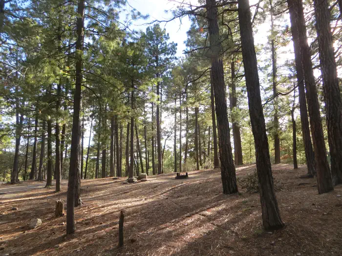 SHOWERS POINT GROUP SITE photo 4