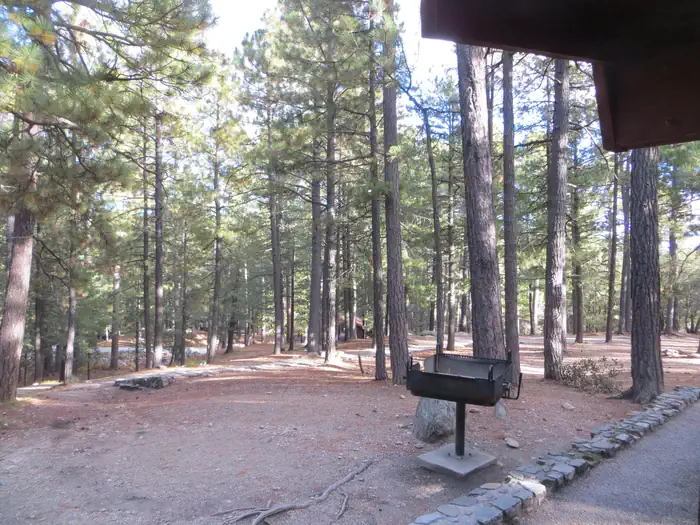 SHOWERS POINT GROUP SITE photo 5