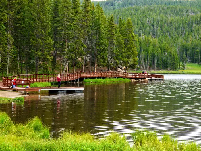 SIBLEY LAKE photo 3