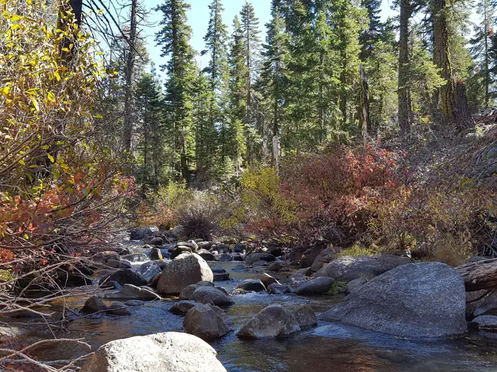SIERRA photo 2