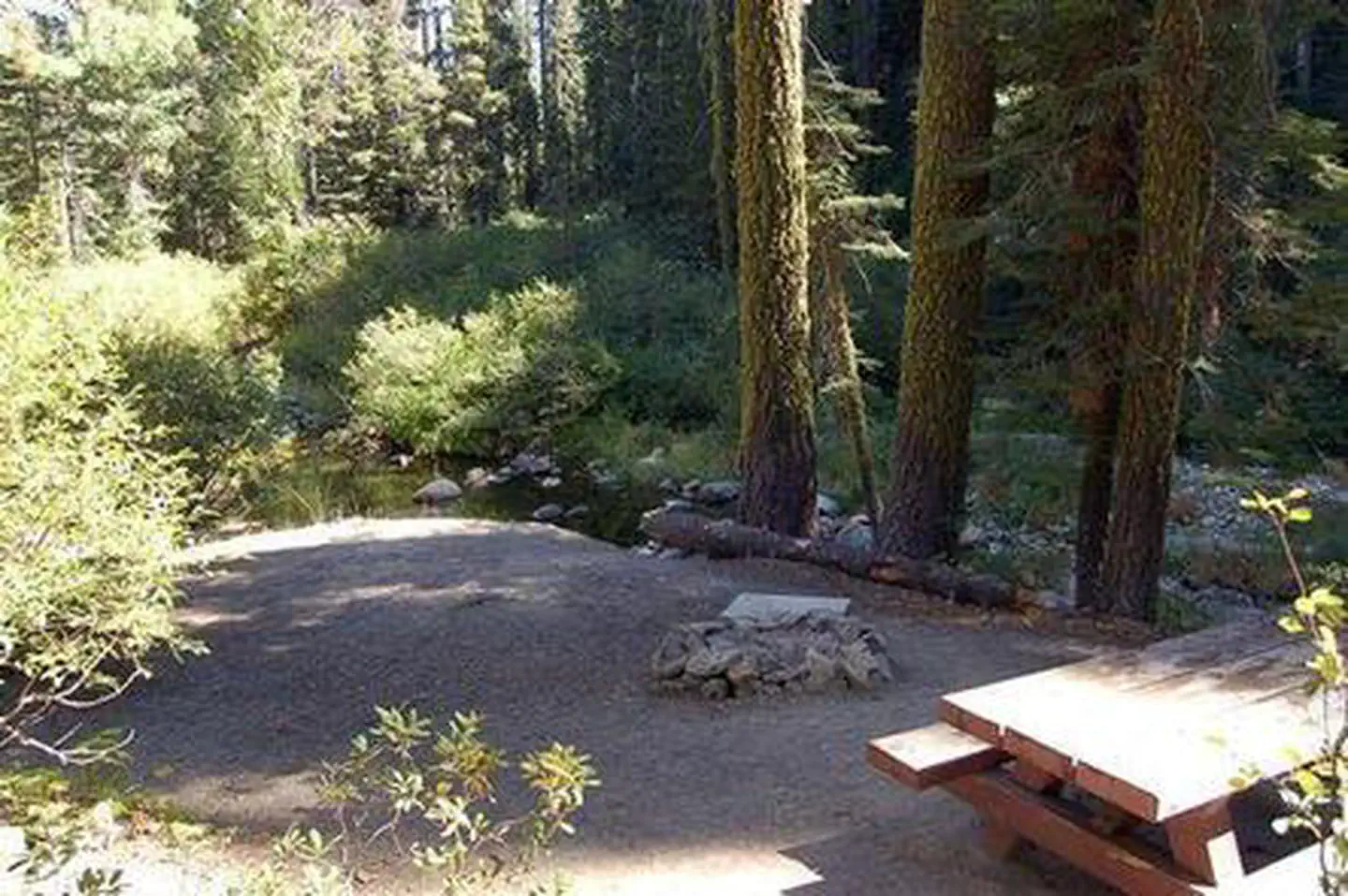 SIERRA photo 3