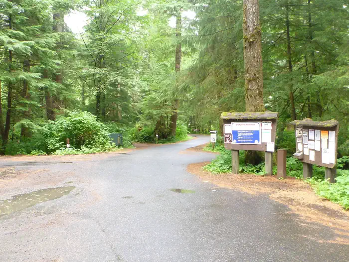 SIGNAL CREEK CAMPGROUND photo 2
