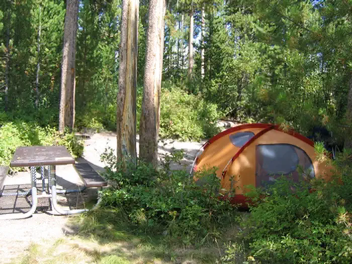 Signal Mountain Campground photo 2