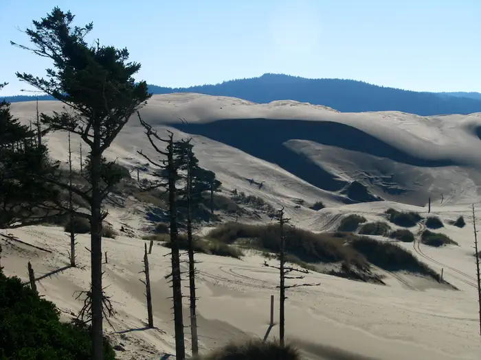 SILTCOOS SAND CAMPING photo