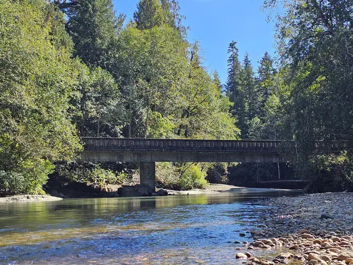 Silver Fir Campground photo 3