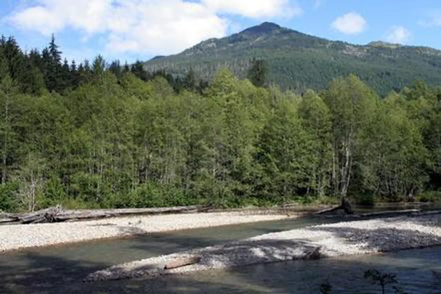 Silver Fir Campground photo 4