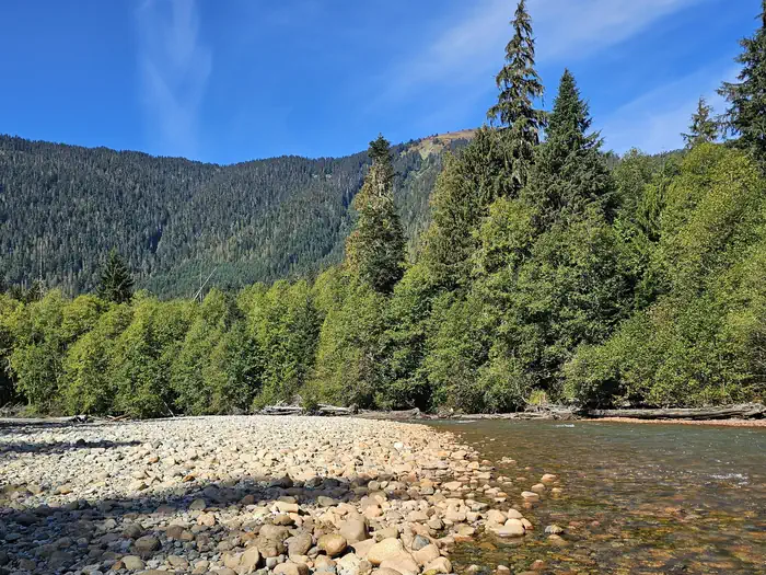 Silver Fir Campground photo 5