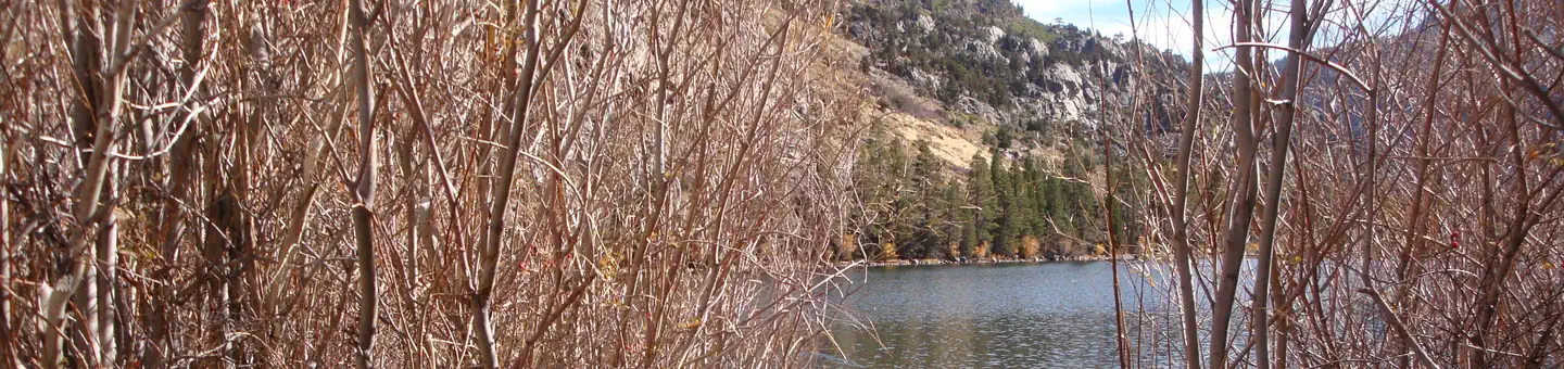 Silver Lake Campground June Lake (CA) photo